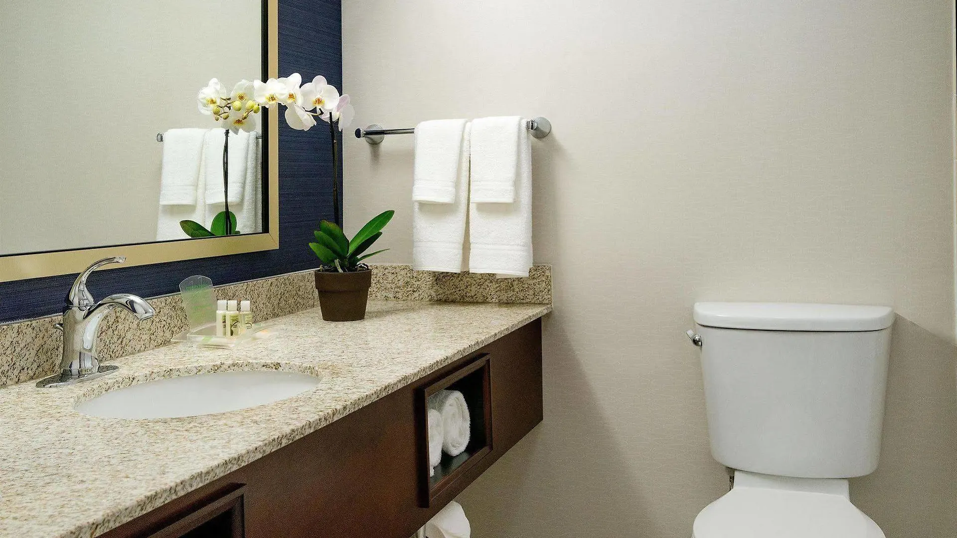 Hotel Nashville Airport Marriott